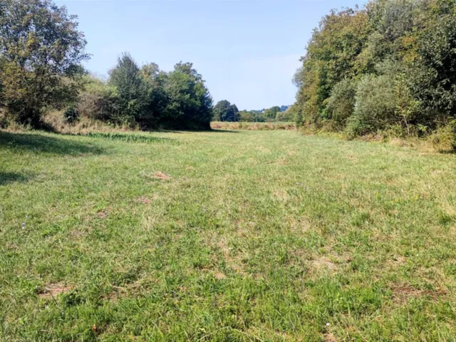 Eladó telek Verőce 5816 nm