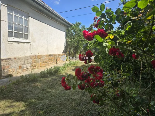 Eladó ház Szente 110 nm