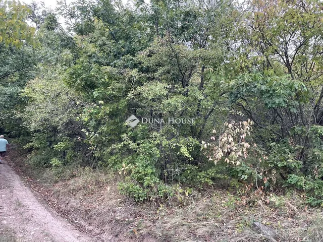 Eladó telek Dunabogdány 1201 nm