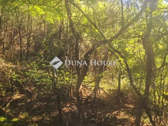 Eladó telek Vác, Nincs utca 5712 nm