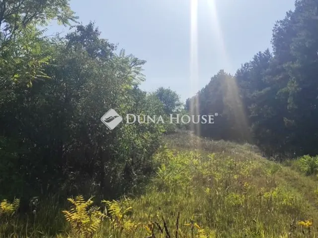 Eladó telek Cserkeszőlő 4985 nm