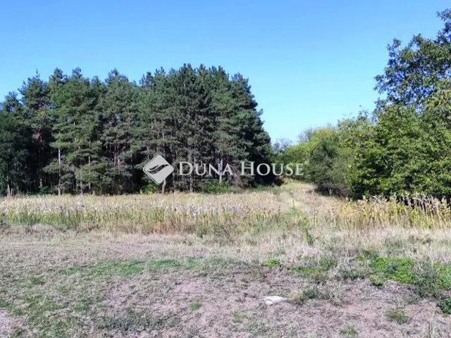 Eladó telek Cserkeszőlő 4985 nm