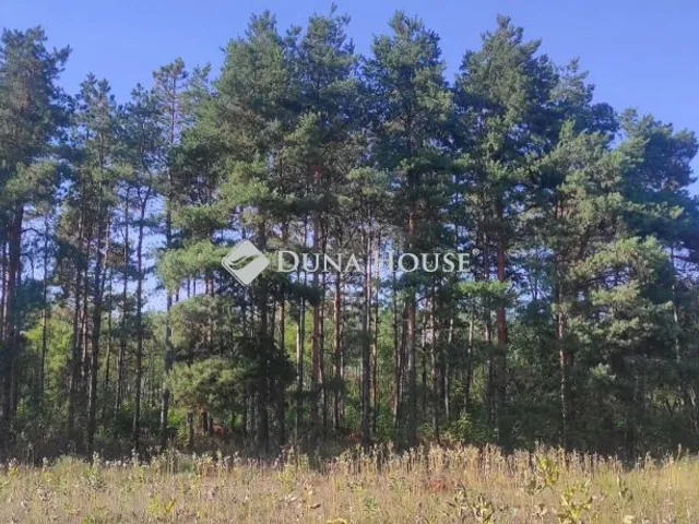 Eladó telek Cserkeszőlő 4985 nm