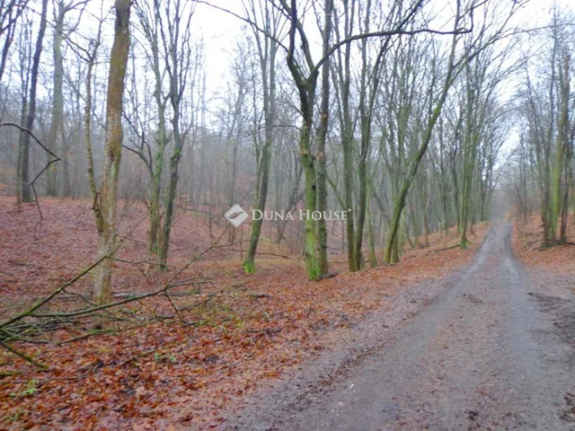 Eladó telek Kismaros 1003 nm