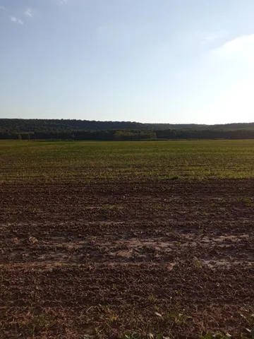 Eladó mezőgazdasági ingatlan Isaszeg 15186 nm