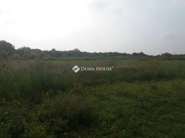 Eladó kereskedelmi és ipari ingatlan Ács, Gyár utca 5000 nm