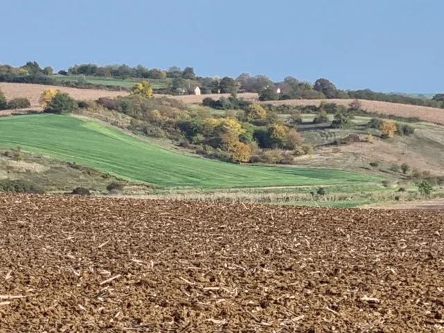 Eladó telek Tarján 1004 nm