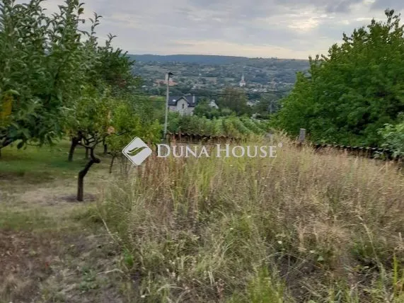 Eladó telek Kőröshegy, Nincs utca 2828 nm