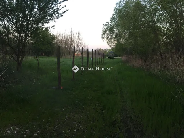 Eladó telek Balatonboglár, Nincs utca 243 nm