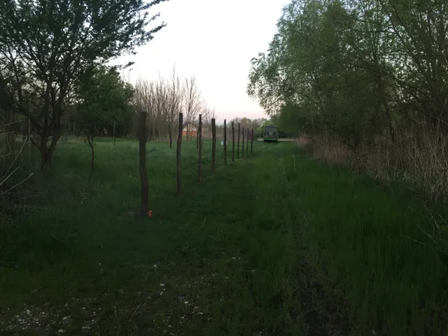 Eladó telek Balatonboglár, Nincs utca 243 nm