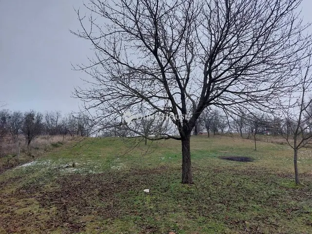 Eladó telek Szomód, 11. dűlő 2400 nm