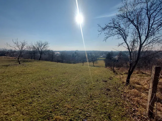 Eladó telek Szomód, 11. dűlő 2400 nm