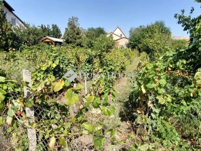 Eladó telek Tata 646 nm