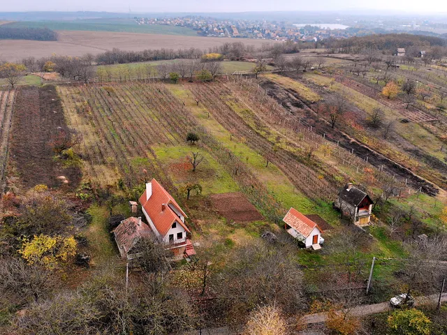 Eladó mezőgazdasági ingatlan Környe 100 nm