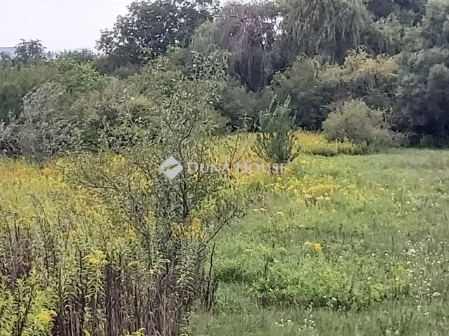 Eladó telek Vértesszőlős 5164 nm