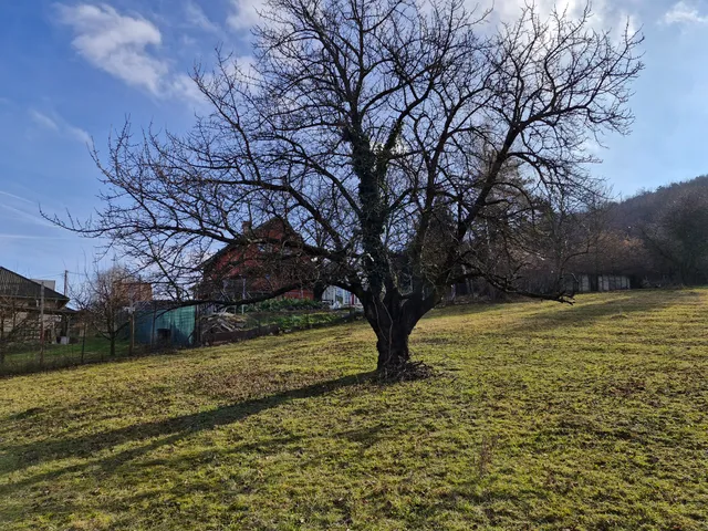 Eladó telek Neszmély 1219 nm