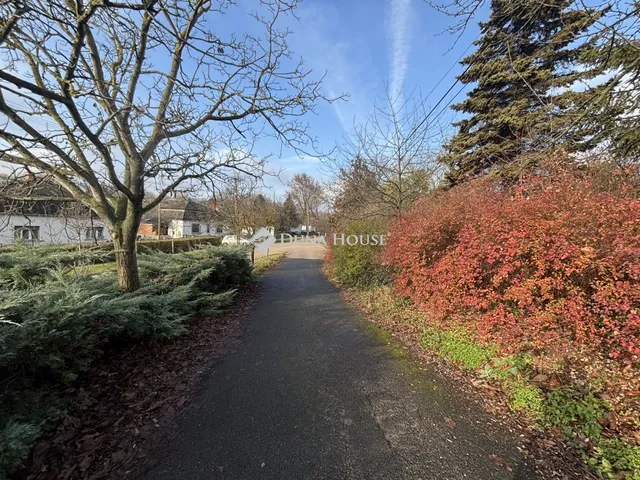 Eladó ház Szár, Somogyi Béla utca 144 nm