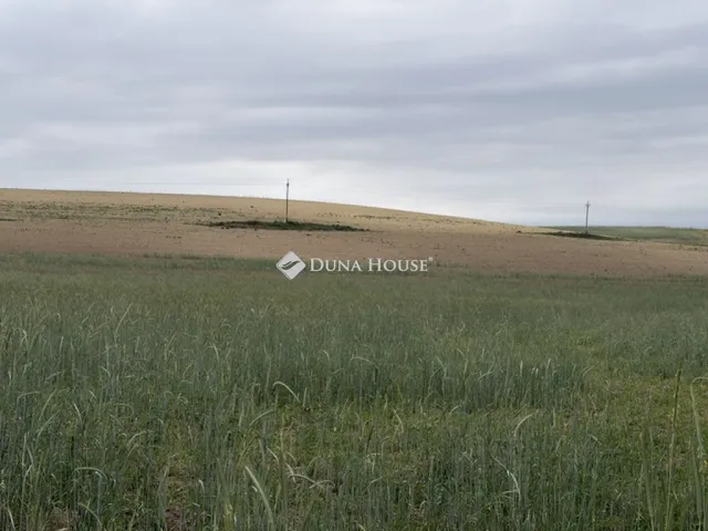 Eladó mezőgazdasági ingatlan Szomód 19928 nm