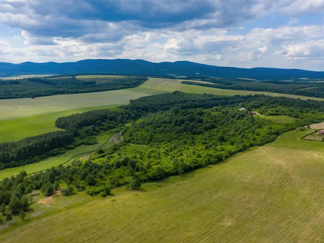 Eladó telek Harsány 600000 nm