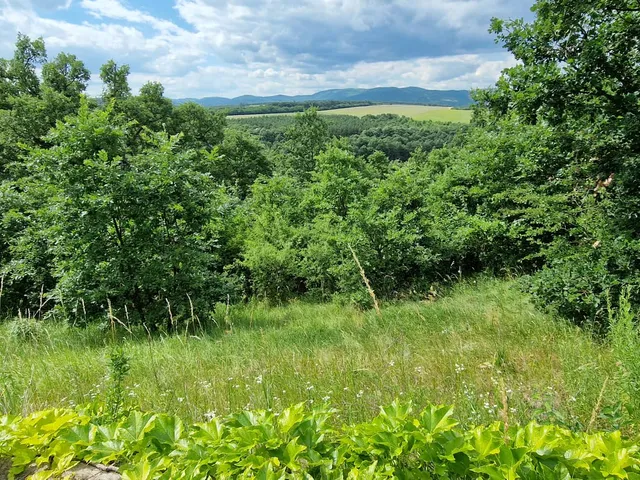 Eladó telek Harsány 600000 nm