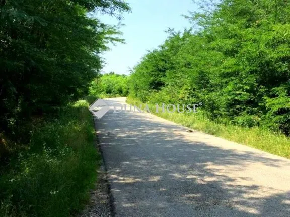 Eladó telek Dabas 15061 nm