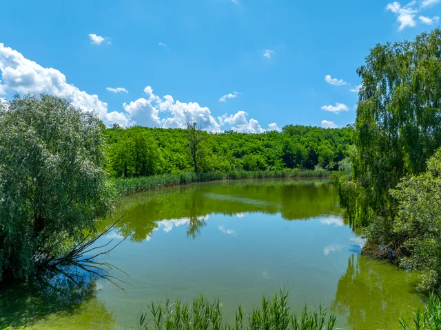 Eladó ház Balatonendréd 1200 nm