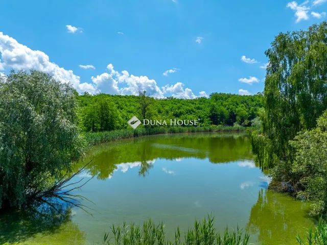 Eladó ház Balatonendréd 1200 nm
