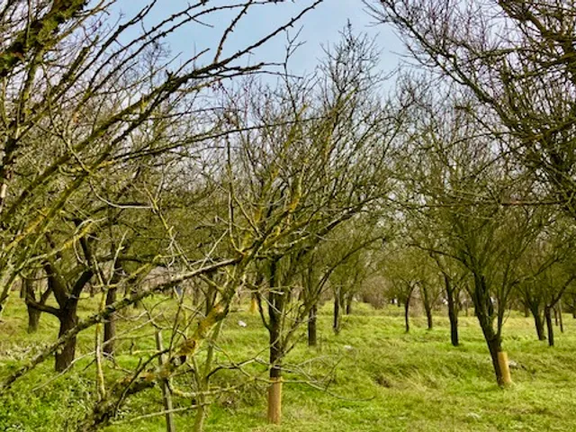 Eladó telek Vál 4759 nm