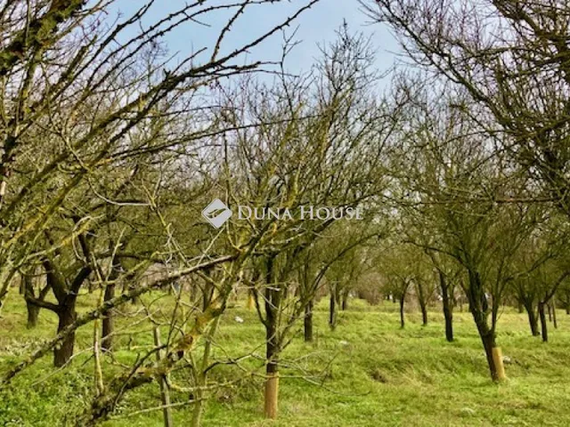Eladó telek Vál, Zártkert 4759 nm