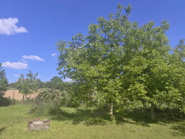 Eladó kereskedelmi és ipari ingatlan Porrog 99 nm