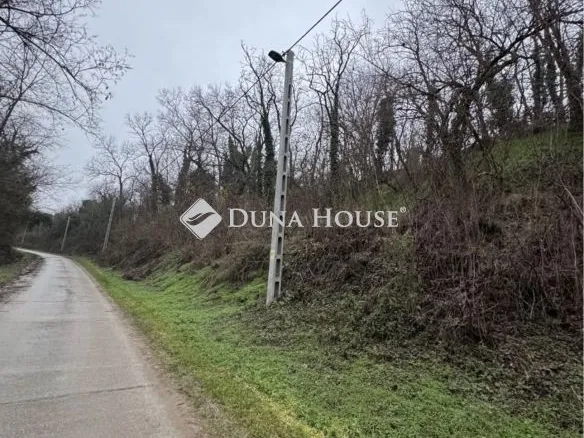 Eladó mezőgazdasági ingatlan Látrány 1668 nm