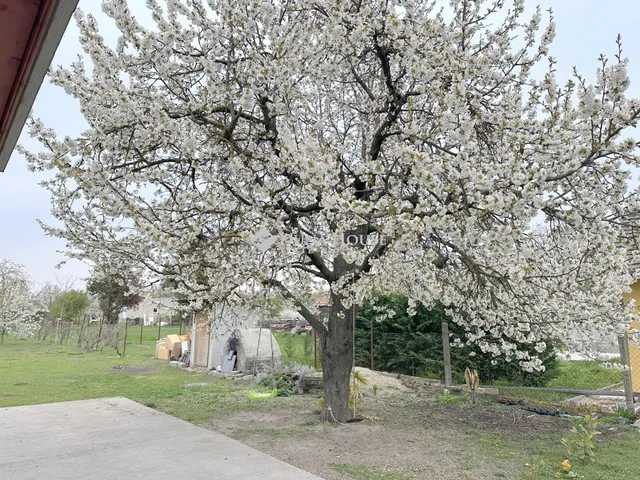 Eladó ház Áporka 136 nm