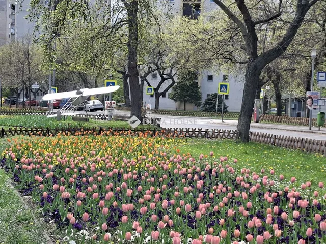 Eladó lakás Budapest IX. kerület 52 nm