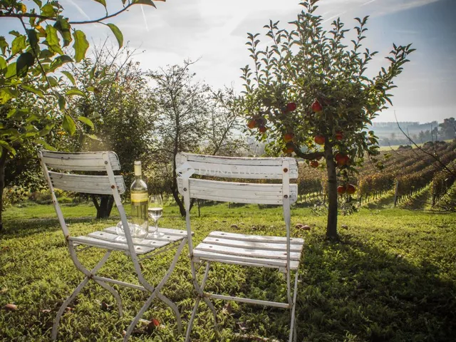 Eladó kereskedelmi és ipari ingatlan Hegymagas, Külterület 290 nm