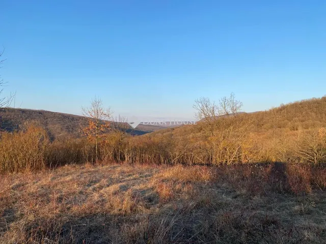 Eladó telek Verőce, Fehér-hegyi dűlő 2387 nm