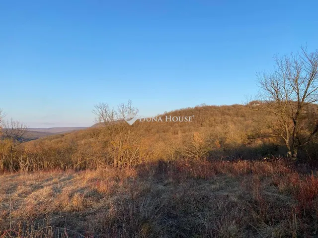 Eladó telek Verőce, Fehér-hegyi dűlő 2387 nm