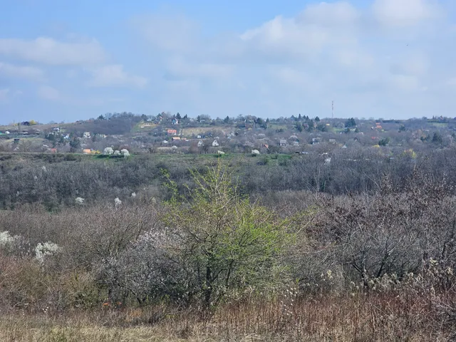 Eladó telek Lovasberény 1736 nm