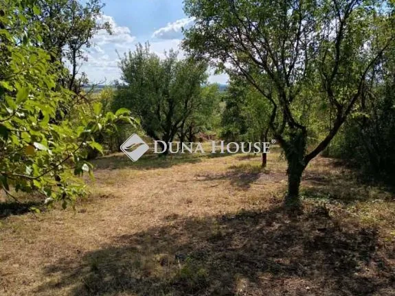 Eladó telek Mány, Nincs utca 995 nm