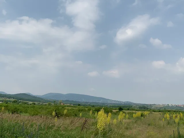 Eladó telek Pomáz 1000 nm