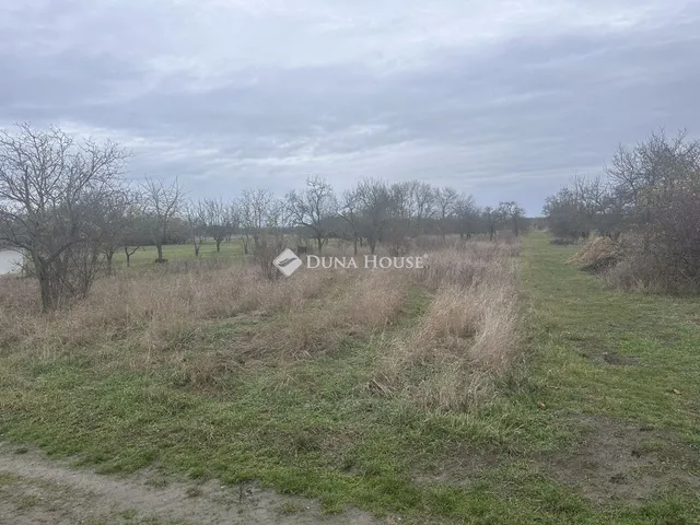 Eladó telek Túrkeve, Nincs utca 1054 nm