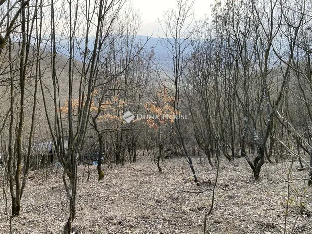 Eladó telek Verőce, Nincs utca 7533 nm