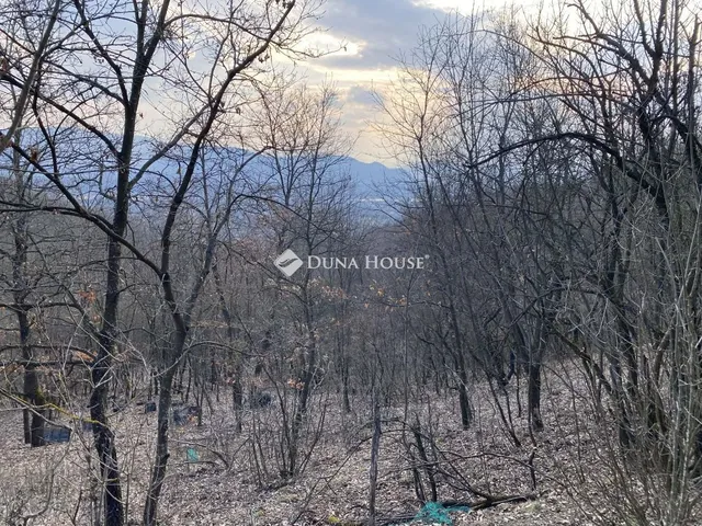 Eladó telek Verőce, Nincs utca 7533 nm