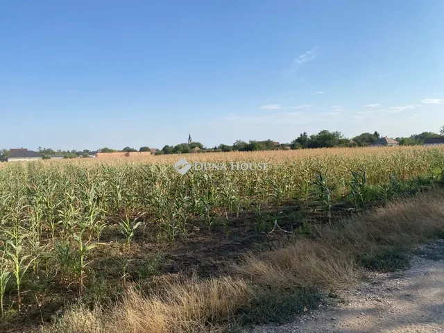 Eladó telek Besnyő, Szabadság utca 2151 nm