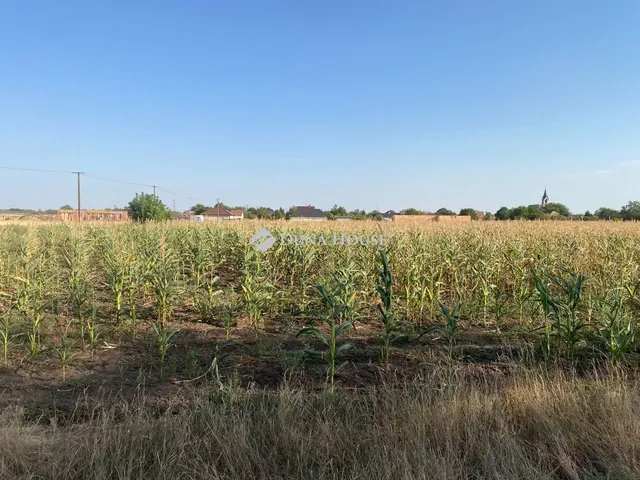 Eladó telek Besnyő, Szabadság utca 4312 nm
