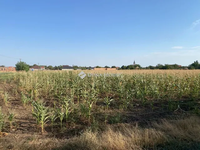 Eladó telek Besnyő, Szabadság utca 4312 nm