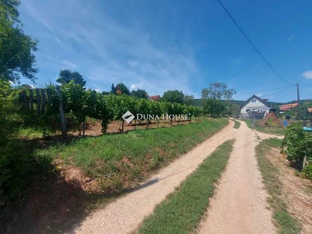 Eladó telek Csopak 1619 nm