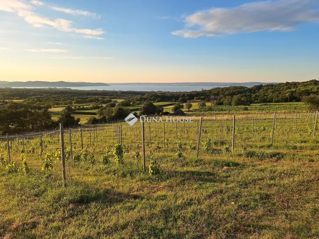 Eladó mezőgazdasági ingatlan Dörgicse 65 nm