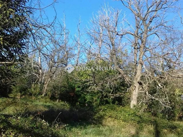 Eladó telek Pilismarót 6563 nm