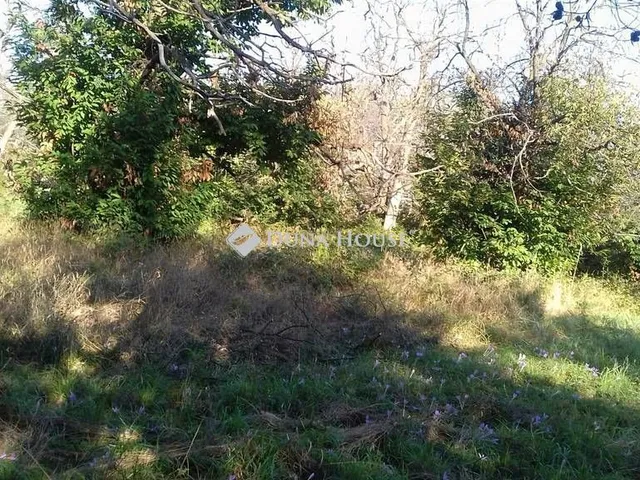 Eladó telek Pilismarót 6563 nm