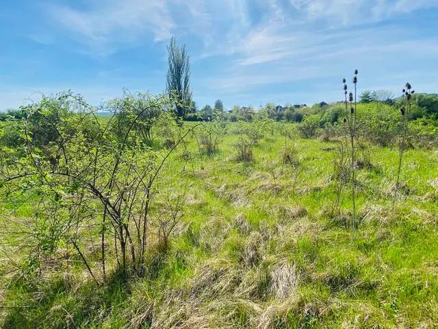 Eladó telek Pomáz, Czimer Tibor utca 1000 nm